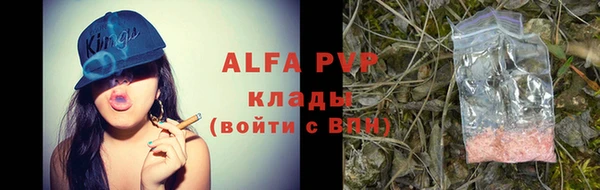 дживик Ельня