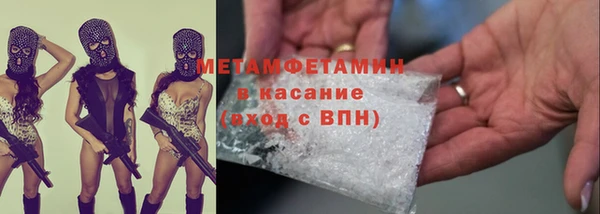 дживик Ельня