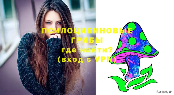 твердый Дмитриев