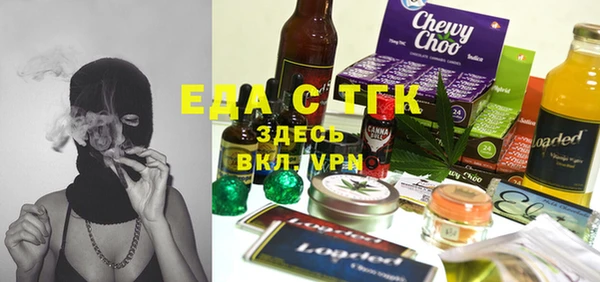 дживик Ельня