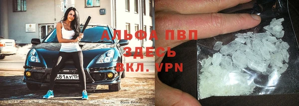 прущие грибы Дмитровск