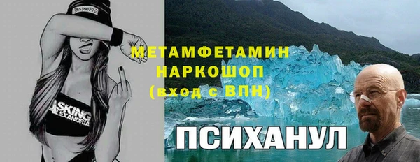 дживик Ельня