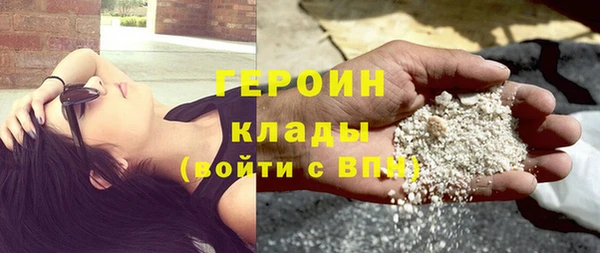 прущие грибы Дмитровск