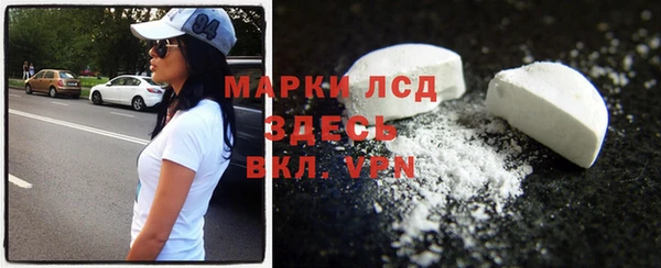 прущие грибы Дмитровск