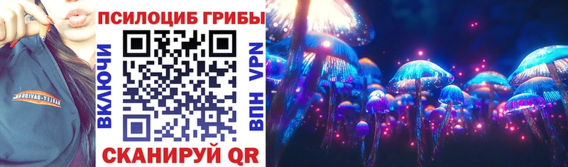 Купить  Спасск-Рязанский  Галлюциногенные грибы MAGIC MUSHROOMS 
